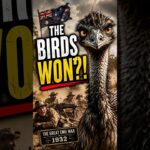Emu War video thumbnail